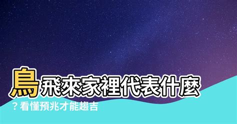 鳥飛進 家裡 代表什麼|【鳥飛進家裡】家有喜事來了！鳥飛進家裡預示著什麼吉凶？